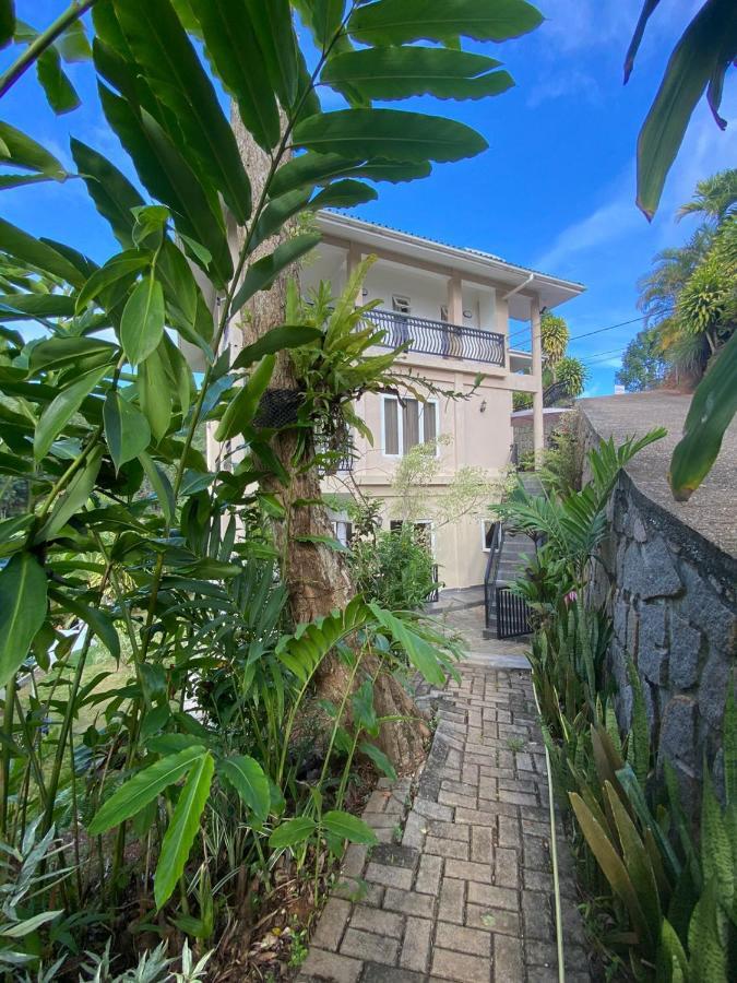 South Hill Villa Анс Роял Екстериор снимка